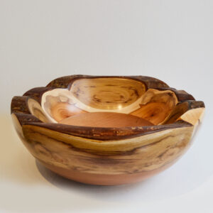 Brian Ivey - Mixed Wooden Bowl